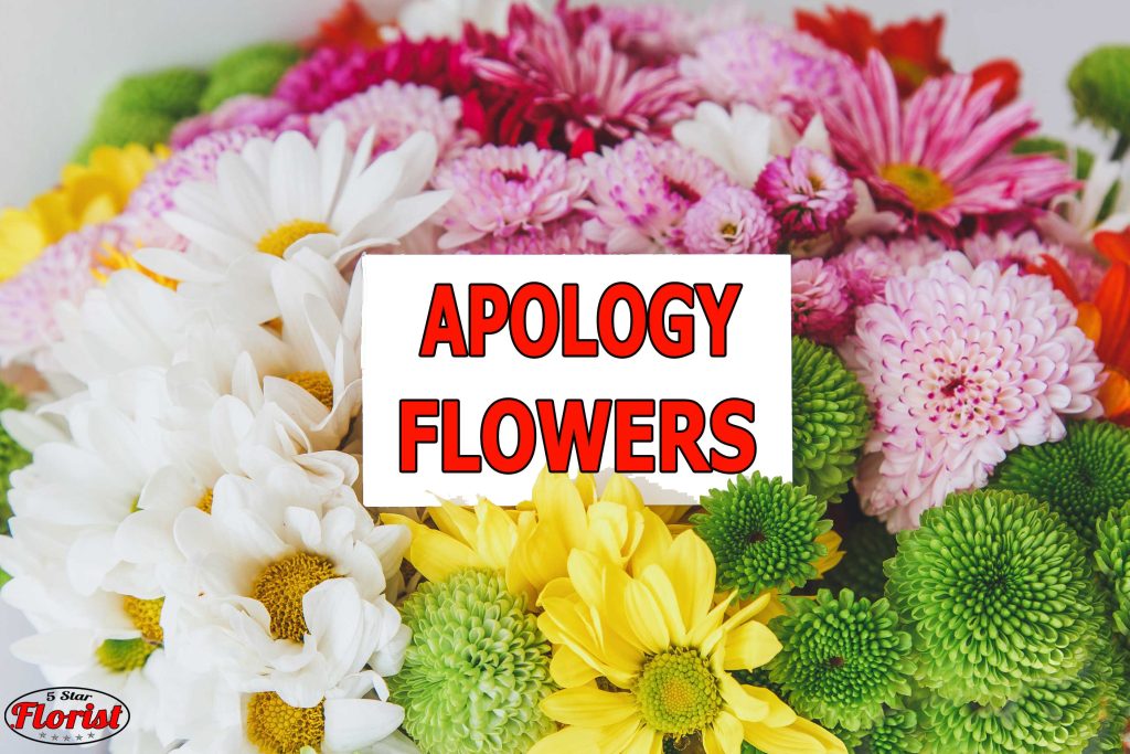 apology flowers Dallas